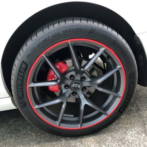 RimTrims Rim Guards
